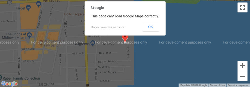 page can't load Google Maps correctly