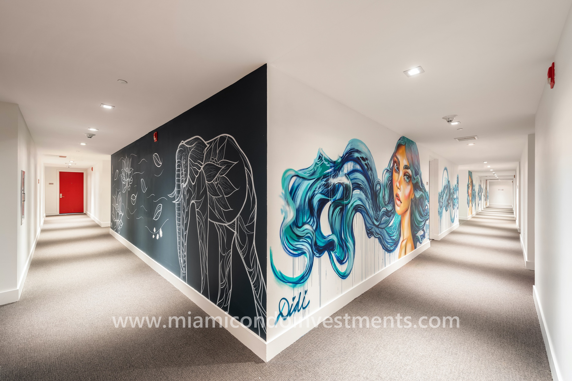 Canvas hallway mural by Didi
